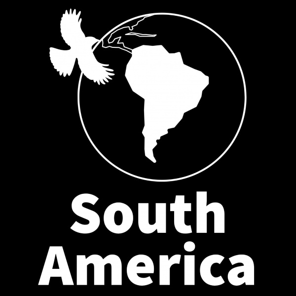 South American Case
